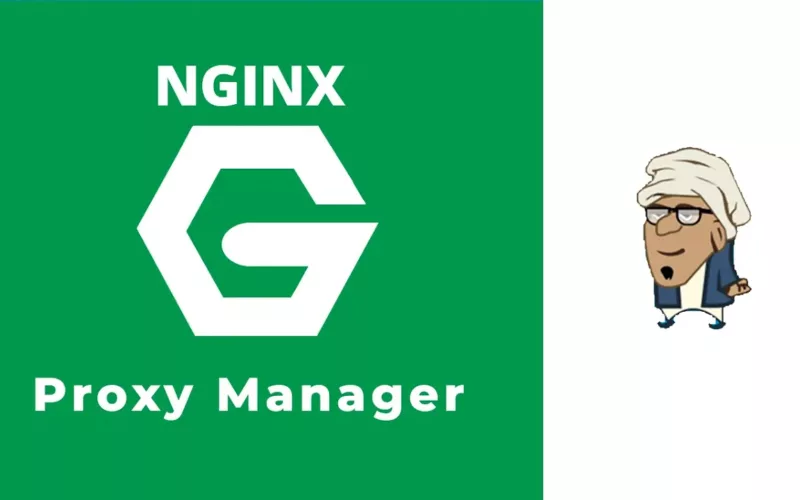 Nginx Proxy Manager – Como mapear domínios para hosts externos ou serviços