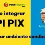 Como usar a API Pix do PagSeguro